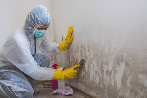 Best Mold Testing  in Strasburg, CO