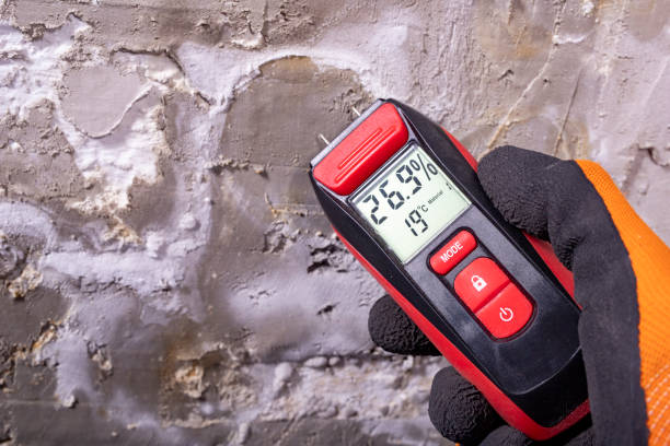 Best Commercial Mold Removal  in Strasburg, CO