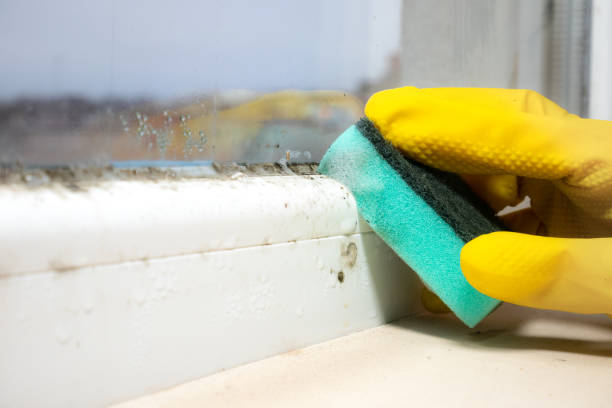 Best Residential Mold Removal  in Strasburg, CO