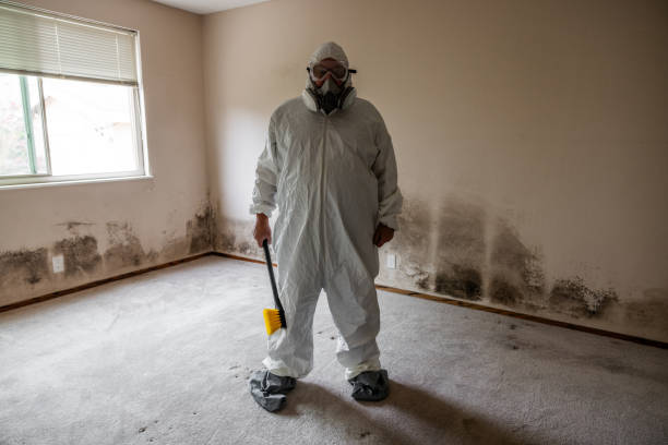 Best Crawl Space Mold Removal  in Strasburg, CO