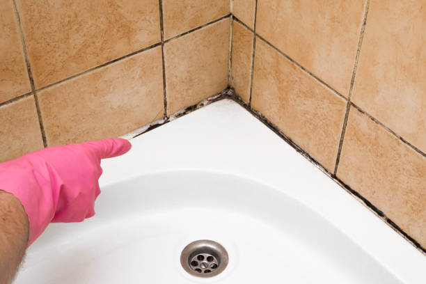 Best Toxic Mold Removal  in Strasburg, CO